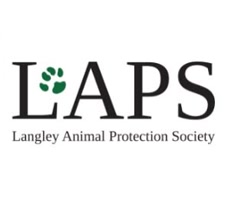 lapsbc