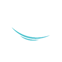 congresultransilvania