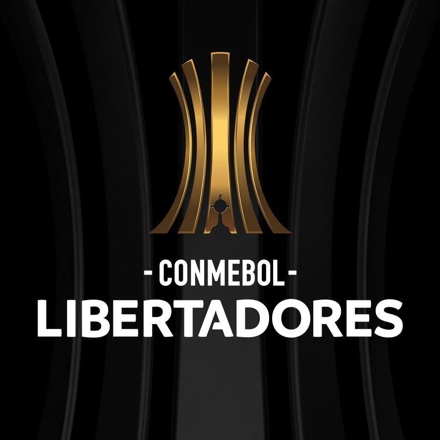 Independiente Libertadores De America Sticker - Independiente Libertadores  De America Copa Libertadores - Discover & Share GIFs