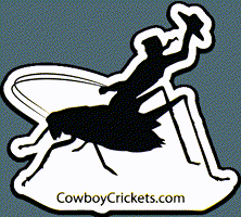 cowboycrickets