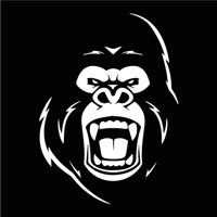 crossfitortenau