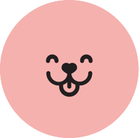 cuidamimascota