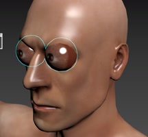 curiofawkstrawt