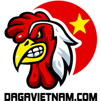 dagavietnamlive