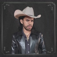 dalvanferraz