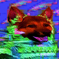 davidvnun