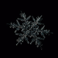 keptfrozen