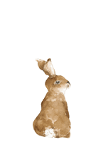 dekornik