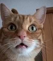 der-5-minuten-blog
