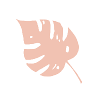 dermtodoor