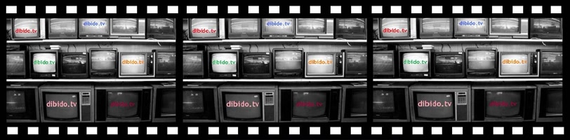 dibidotv