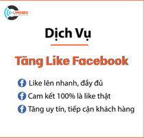 dichvutanglikefacebooklimoseo