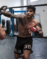 dillondanis