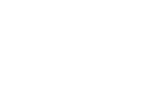 dltsportmanagement