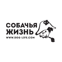 dog-life
