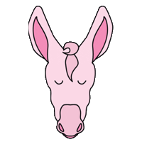 donkeybreakfast