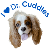 drcuddles