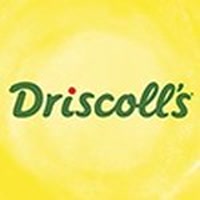 driscollsberry