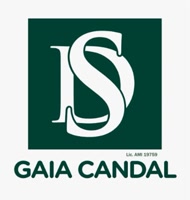 dsgaiacandal