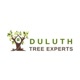 duluthtreeexperts
