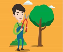 elgintreeservices