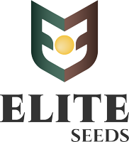 elite_seeds