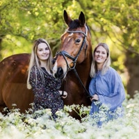 equitality