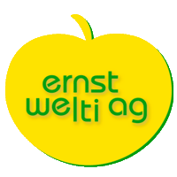 ernstwelti
