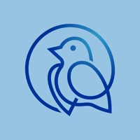 esazulejo