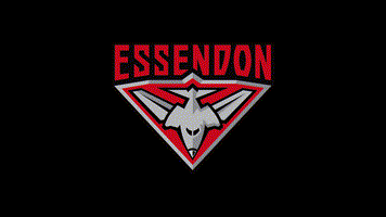 essendonfc