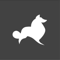 estilocollie