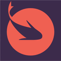 estudiokoi