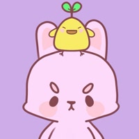 estudiotokki