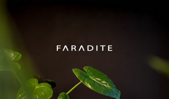 faradite