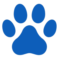 fetchvets