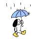 findingbones