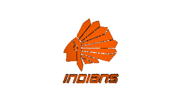 flag-indians