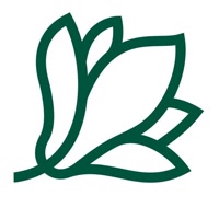 florariamagnolia