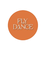 flyindumentaria
