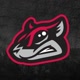 flyingsquirrels