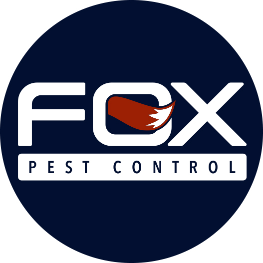 Fox Pestcontrol Sticker By Shae For Ios Android Giphy