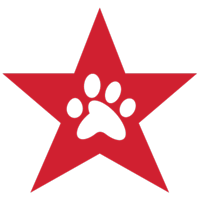 freedomservicedogsofamerica