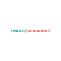 freeimagedescriber