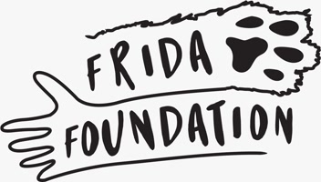fridafoundation