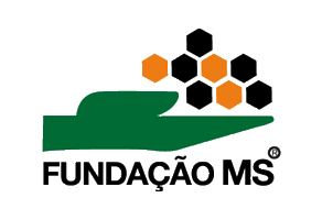 fundacaoms