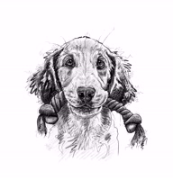furmamastudio