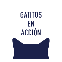 gatitosenaccion