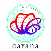 gayanadivecentre