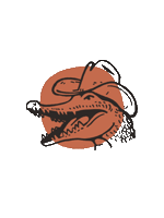 goeasyco