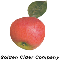 goldencider
